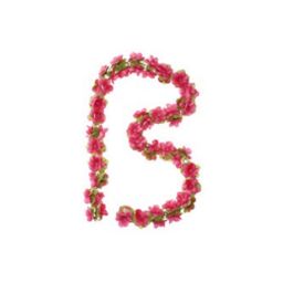 Basil bloemslinger fuchsia (8715019501807)
