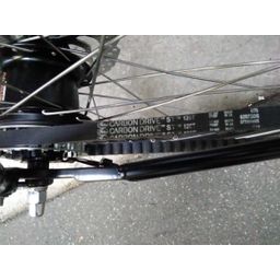 Pointer Ultra Belt Dames MAT ZWART 53cm 2026 (1113137122)