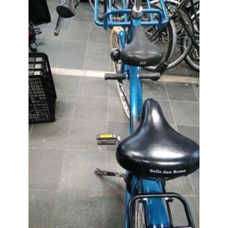 Azor Texel Dames blauw 49cm (F.42822)