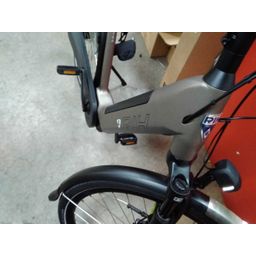 RIH Spectra Dames mat champagne 49cm 2026 (F.42886)