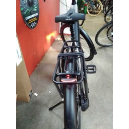 RIH Spectra Dames mat champagne 49cm 2026 (F.42886)