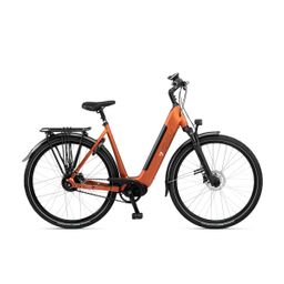 RIH Delta Dames MAT KOPER 54cm 2026 (F.42956)