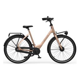 CORTINA Common Dames Pearl Frappé Gloss 50cm 2025 (8719461061179)