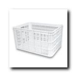 Basil transport krat groot wt (8715019210181)