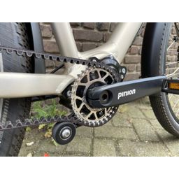 Santos SANTOS TRAVELMASTER 3+ PINION, champagne (1000000156317)