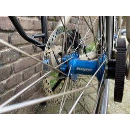 Santos SANTOS TRAVELMASTER 3+ PINION, champagne (1000000156317)