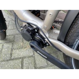 Santos SANTOS TRAVELMASTER 3+ PINION, champagne (1000000156317)