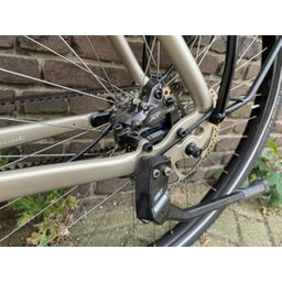 Santos SANTOS TRAVELMASTER 3+ PINION, champagne (1000000156317)