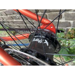 Santos Cross Lite, SATIN BRONZE (1000000126242)