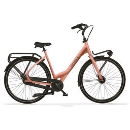 Cortina common 57cm 2025 (8719461061285)