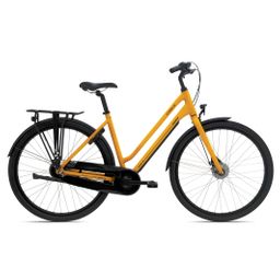 Product 4712878766488