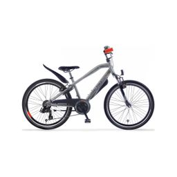 Alpina Trial Sport, Desert Grey Matt (8719461055871)