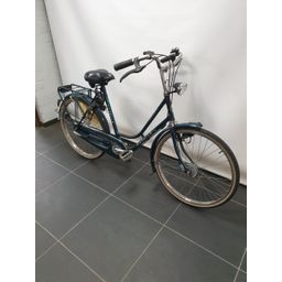 Gazelle Maxinette Dames Groen 52cm (F.35966)