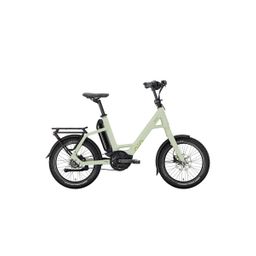 QIO EINS AP-8R Light Olive Matt 48cm 20 Inch , Un 2024 (4251971142039)