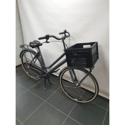 BSP Metropolis + III Dames Platina Grey Mat 57cm D57 2019 (8715105191738)