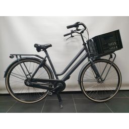 BSP Metropolis + III Dames Platina Grey Mat 57cm D57 2019 (8715105191738)