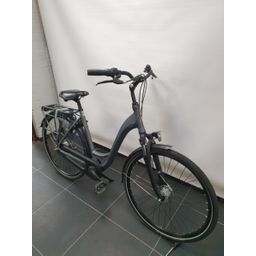 BSP Bellage VII Dames Platina Grey Mat 54cm D54 (8715105199659)