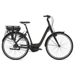 GIANT Grandtour E+0 LDS Dames Rosewood L 55cm L 2022 (4712878638600)