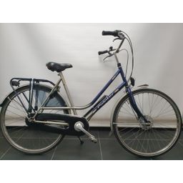 Pointer Classica Dames Blauw / Grijs 57cm (F.37587)