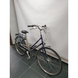 Pointer Classica Dames Blauw / Grijs 57cm (F.37587)