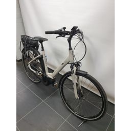 Giant Entour E+0 Disc LDS Dames Concrete 50cm M (F.38202)