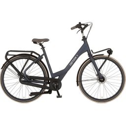 CORTINA Common Family, Millionaire Blue Matt (8719461031257)