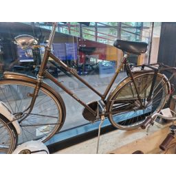Batavus bato, bruin