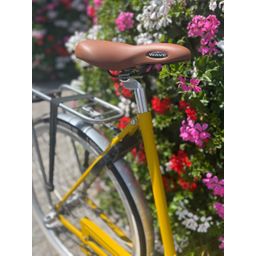 Roetz Road Lady 25 RY RE 3d Rg Af Fc Rc Ba GsR Ks Lt Dames Rebel Yellow 57cm 2025 (F.26928)