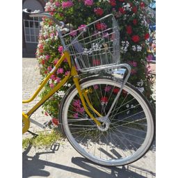 Roetz Road Lady 25 RY RE 3d Rg Af Fc Rc Ba GsR Ks Lt Dames Rebel Yellow 57cm 2025 (F.26928)