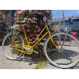 Roetz Road Lady 25 RY RE 3d Rg Af Fc Rc Ba GsR Ks Lt Dames Rebel Yellow 57cm 2025 (F.26928)