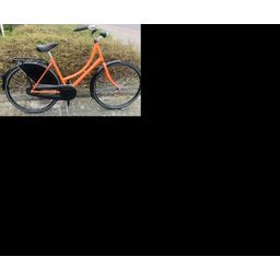 ALDO oma Starter 28" - 50 cm. oranje incl. slot Dames Oranje 50cm 2026 (2200117172838)