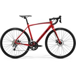 Batavus professional, rood (F.7010)