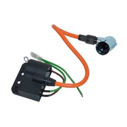Piaggio Bobine/cdi-unit (voor ontsteking 41823+18272) kreid/maxi/zun/manet (8718336033570)