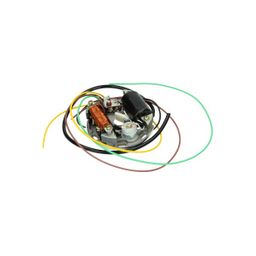 Zundapp Ontsteking mod. bosch 6v 15/5-3W kreid/puch/zun DMP (8718336029177)