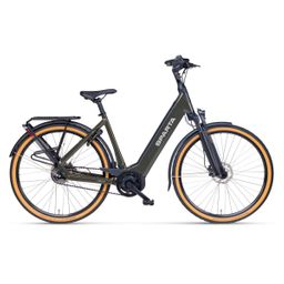SPARTA d-Rule Energy, Grey Olive Gloss (8713568452342)