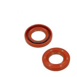 Keerring krukas Sym 17x30x5 (2200079894236)