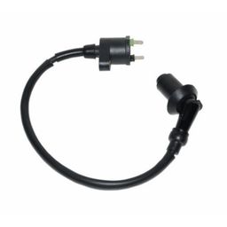 Benzhou Bobine agi/china4t/django/fid/ksb/sco gy6/sco kym4t/v-clic (8718336063119)