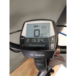 Gazelle LUZERN Dames grijs 53cm 2019 (F.34062)