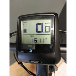 Qwic Premium Mn7 Zwart Dames Matte Black L 2019 (F.34368)