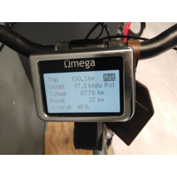 RIH Omega 4 Mat Kwartszilver 54cm 2020 (F.35664)
