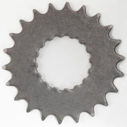 Bosch tandwiel 20 tanden (4047025220590)