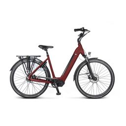 Van Dijck Juno 5, Red Matt (12500060502)