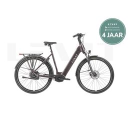 LEVIT BELECO 3 low 55 allspice 620 Allspice 55cm 2025 (8595174256503)