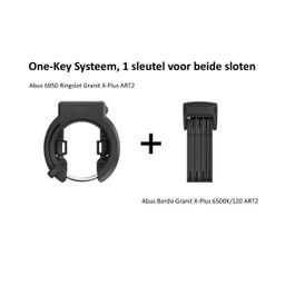 Abus Ringslot 6950 + Bordo 6500K/120 One Key ART2 10/12+15/15 (2181006115061)