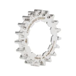Gates CDX achtertandwiel 19 tands Rohloff Splined (4262428333528)