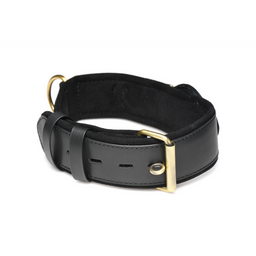 Xr brands Tracer - Tracking Collar - Zwart (848518051882)
