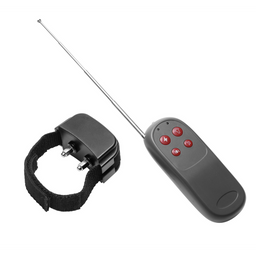 Xr brands Cock Shock - Electro Stimulatie Cockring met Afstandsbediening (848518017352)