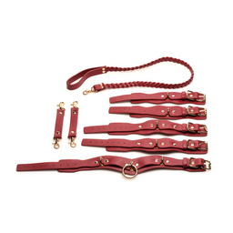 Xr brands Lover's Restraints Set - Rood (848518054418)