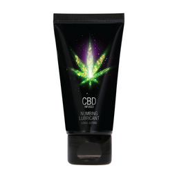 Pharmquests by shots CBD Numbing Lubricant - 2 fl oz / 50 ml (8714273533227)