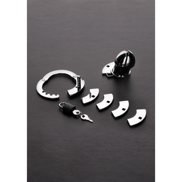 Steel by shots De Gevangene Vogel (8714273535313)